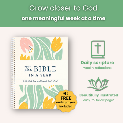The Bible in a Year: A 52-Week Study